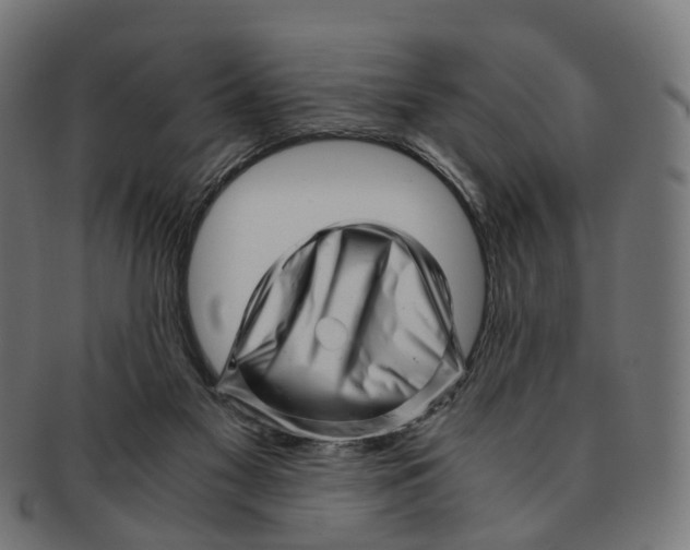X0000091240117200709061548