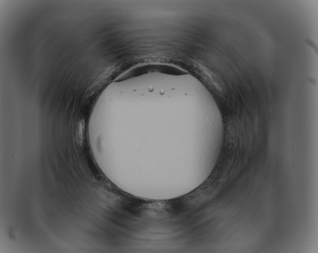 X0000091240118200709061548
