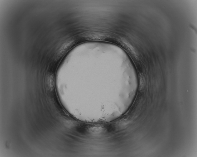 X0000091240119200709061548