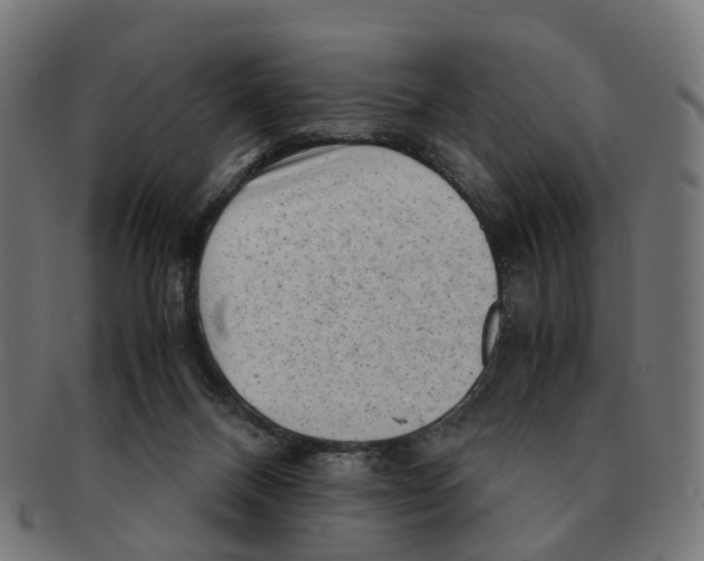 X0000091240120200709061548