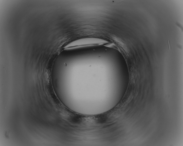 X0000091240121200709061548