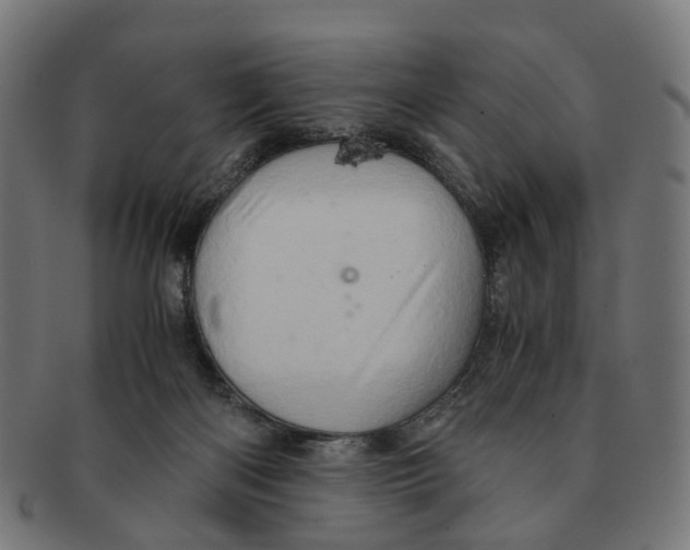 X0000091240122200709061548