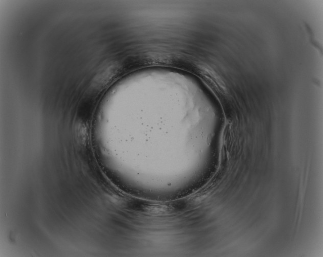 X0000091240123200709061548