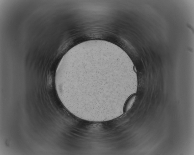 X0000091240124200709061548