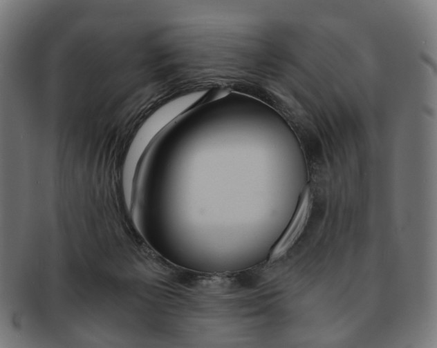 X0000091240125200709061548
