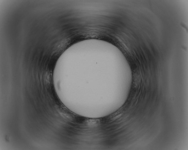 X0000091240126200709061548