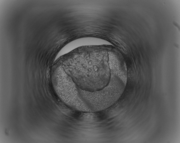 X0000091240127200709061548