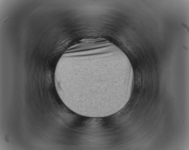 X0000091240128200709061548