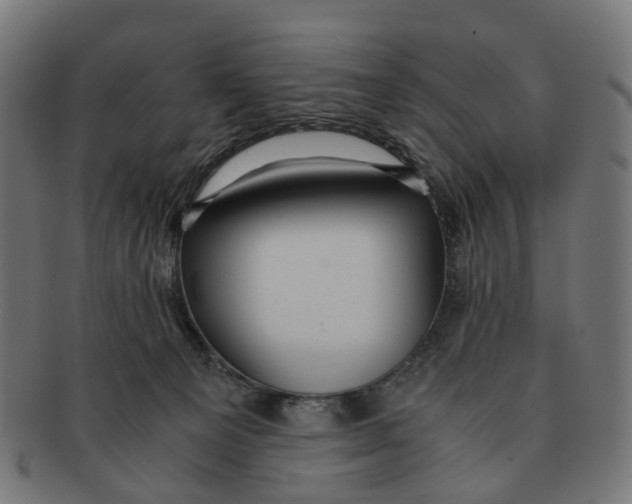 X0000091240129200709061548