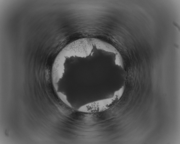 X0000091240130200709061548
