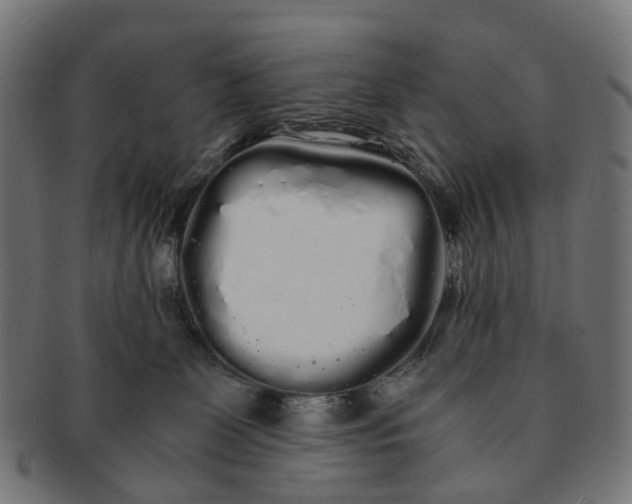 X0000091240131200709061548