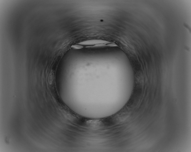 X0000091240133200709061548