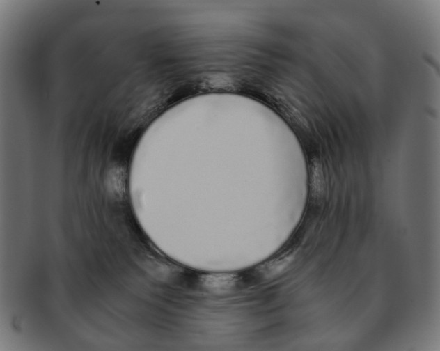 X0000091240135200709061548
