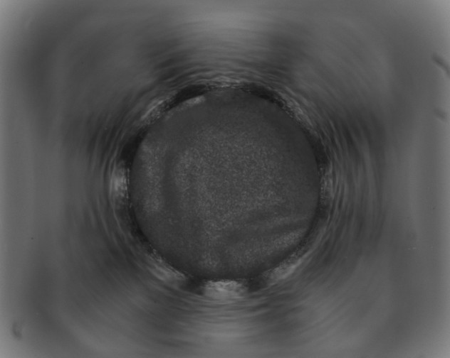 X0000091240137200709061548