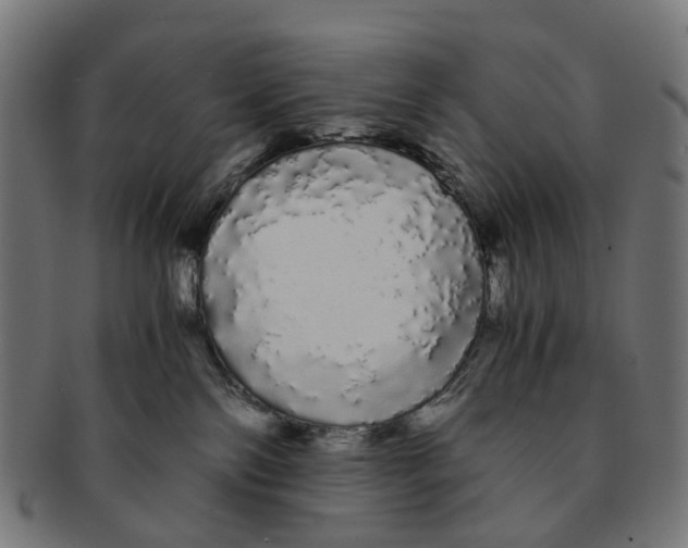 X0000091240138200709061548