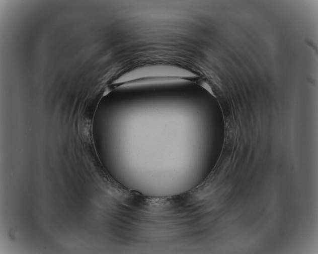 X0000091240141200709061548