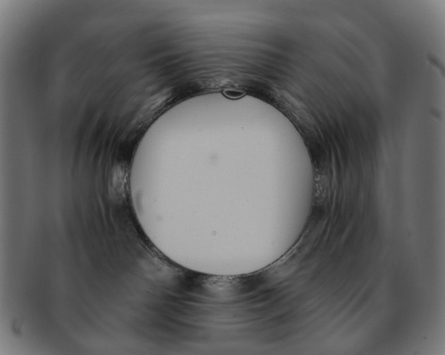 X0000091240142200709061548