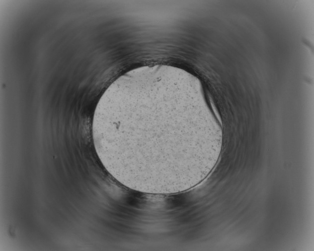X0000091240144200709061548
