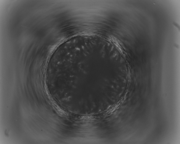 X0000091240145200709061547