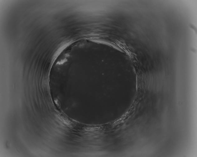 X0000091240147200709061547