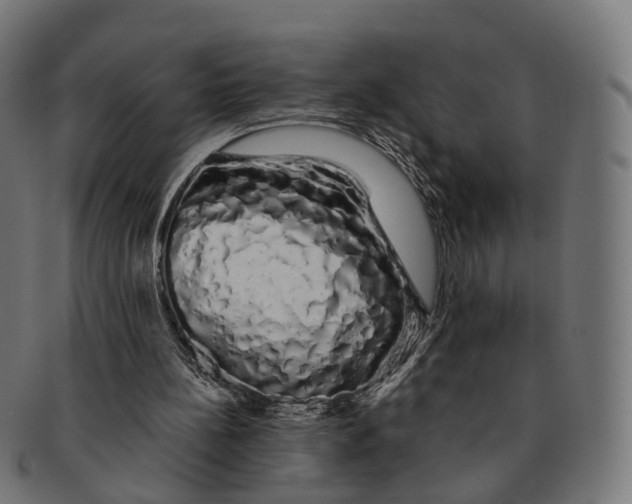 X0000091240148200709061547