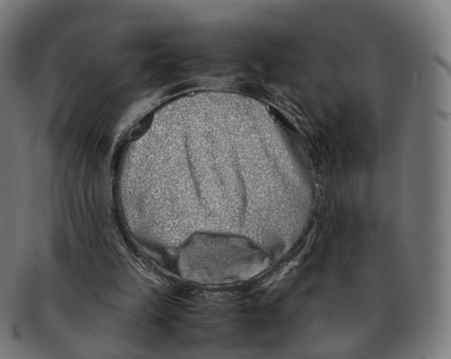 X0000091240149200709061547