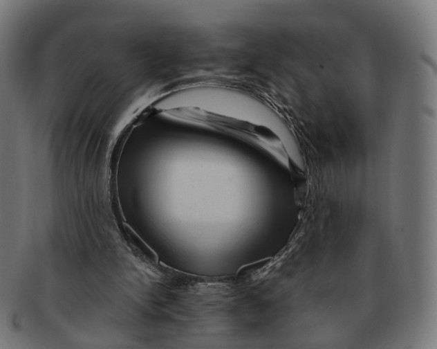 X0000091240150200709061547