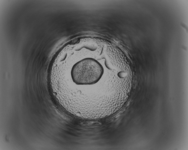 X0000091240151200709061547