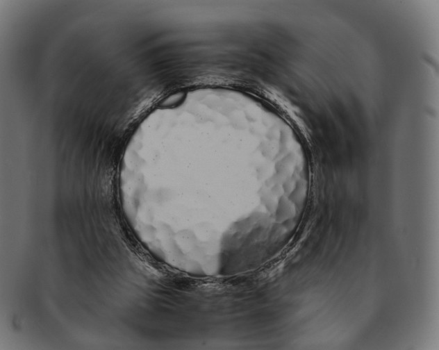 X0000091240153200709061547
