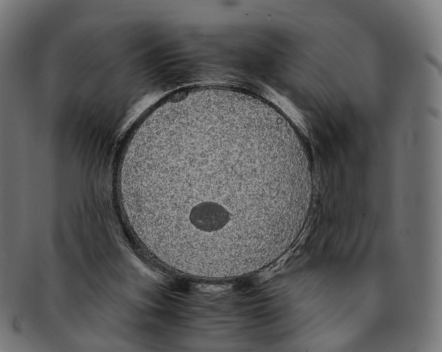 X0000091240155200709061547