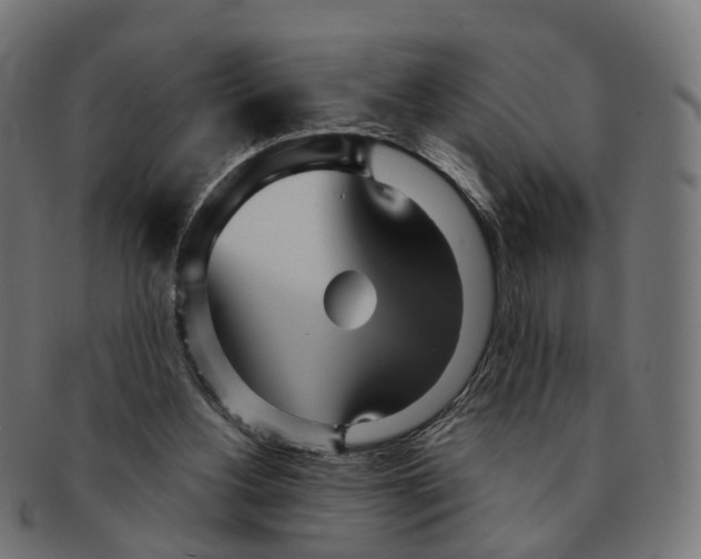X0000091240156200709061547