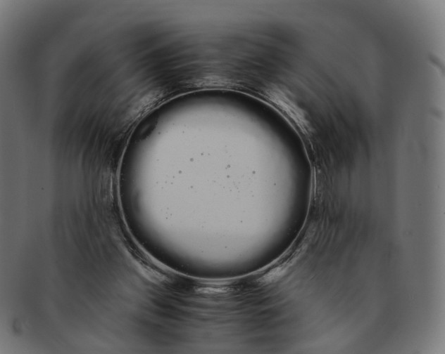 X0000091240157200709061547