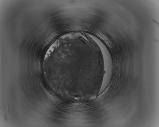 X0000091240158200709061547