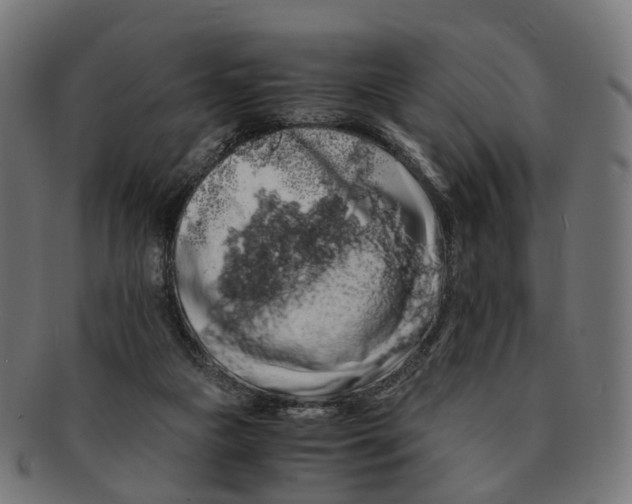 X0000091240161200709061547