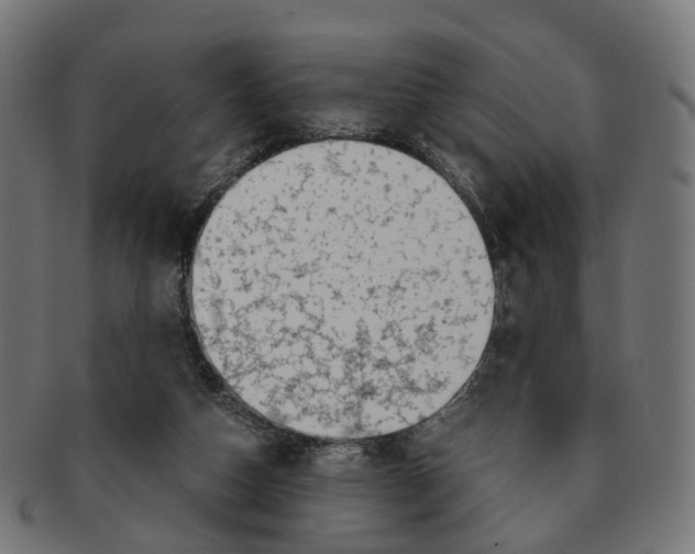X0000091240162200709061547