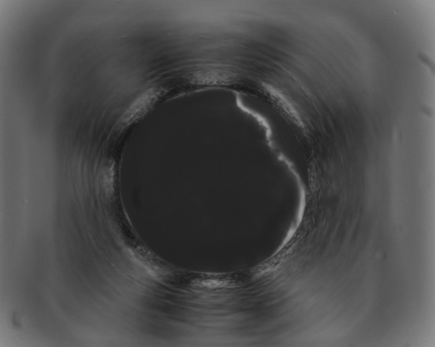 X0000091240163200709061547