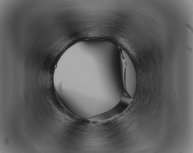 X0000091240164200709061547
