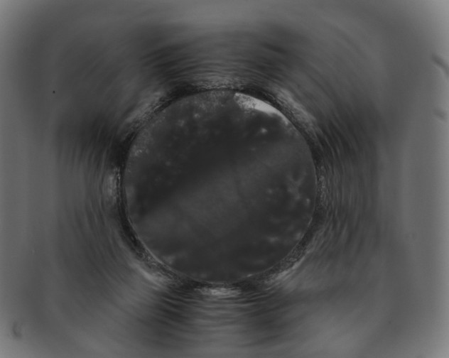 X0000091240165200709061547