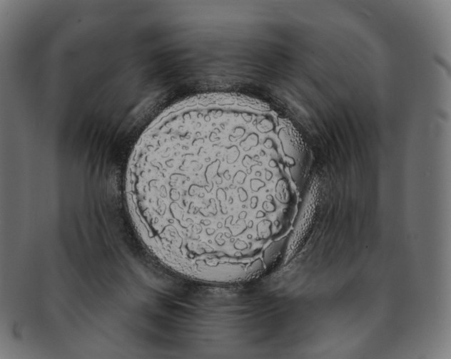 X0000091240166200709061547