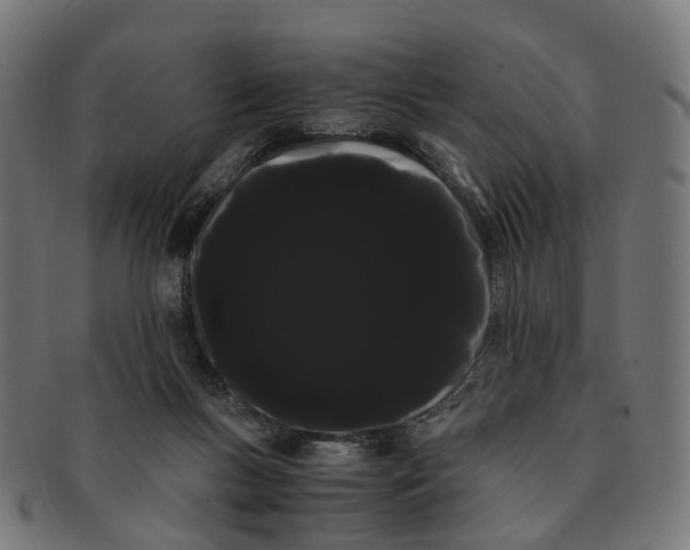 X0000091240167200709061547