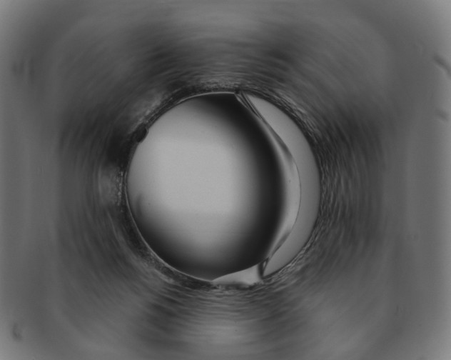 X0000091240168200709061547