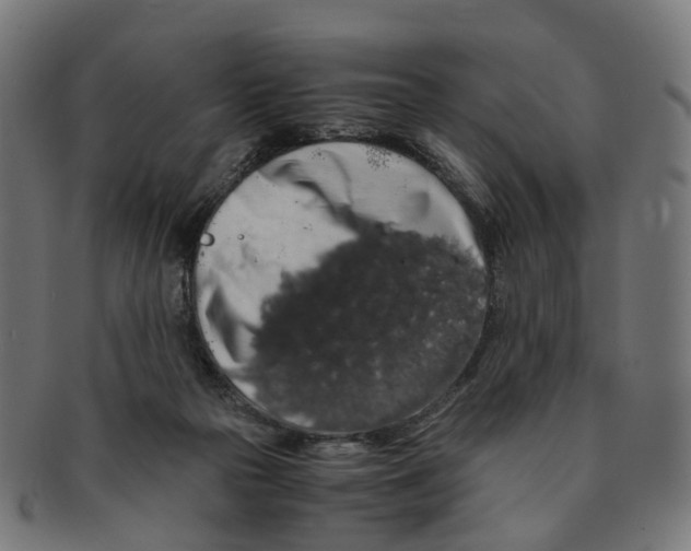 X0000091240169200709061547
