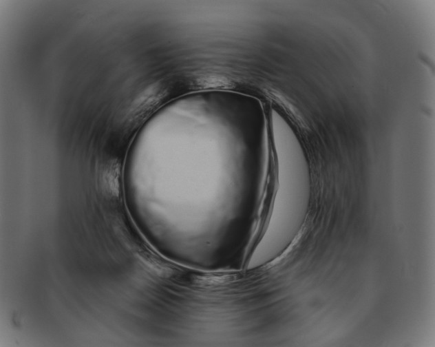X0000091240170200709061547