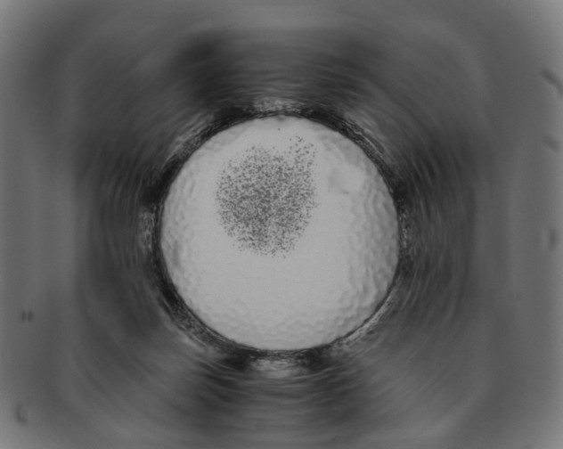 X0000091240171200709061547