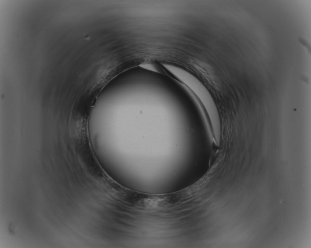 X0000091240172200709061547