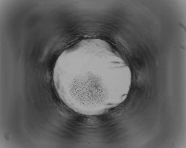 X0000091240173200709061547