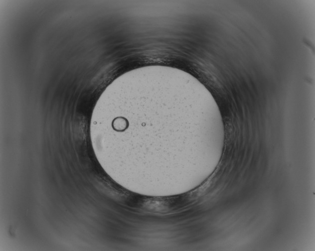 X0000091240174200709061547
