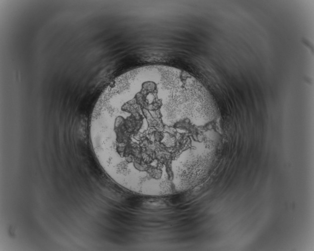X0000091240175200709061547