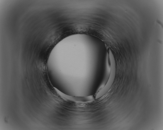 X0000091240176200709061547