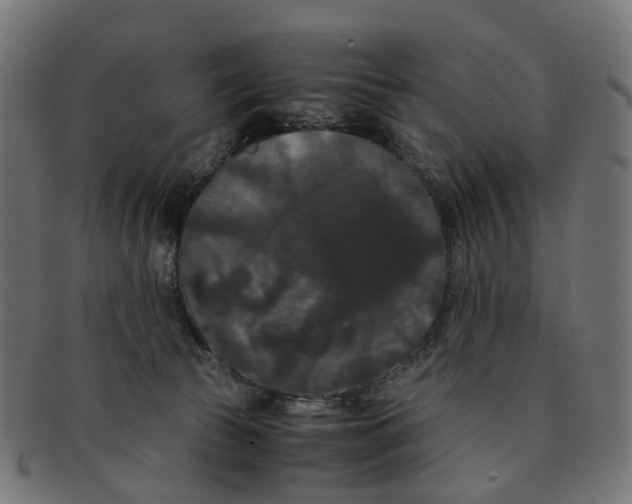 X0000091240177200709061547